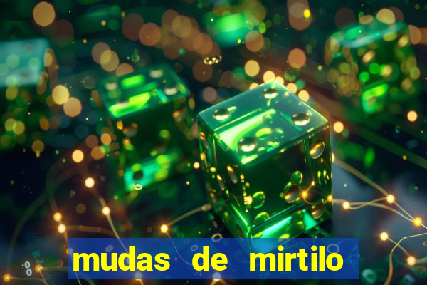 mudas de mirtilo em porto alegre