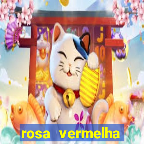 rosa vermelha (letra e cifra)