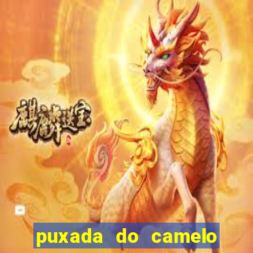 puxada do camelo no jogo do bicho