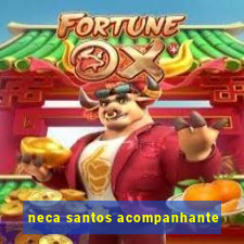 neca santos acompanhante