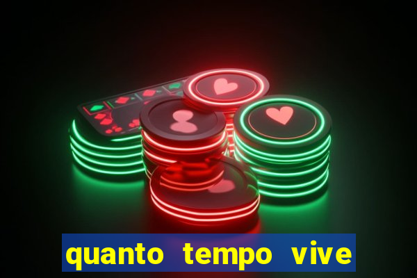 quanto tempo vive um passarinho bem-te-vi