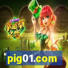 pig01.com