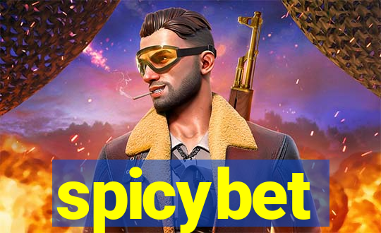 spicybet-2.com